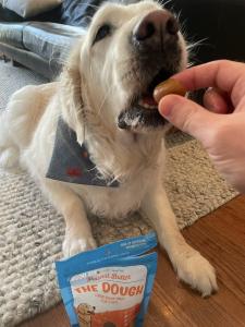 Clementine, an English Cream Golden Retriever, gobbles up her favorite treat, Pawnut Butter THE DOUGH cookie dough