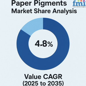 Paper Pigments Market Share Analysis