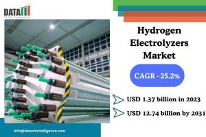 Hydrogen Electrolyzers Market