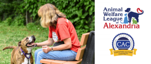 A woman interacts with a dog at the Animal Welfare League of Alexandria, showcasing pet adoption and care.