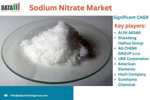 Sodium Nitrate Market