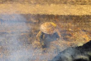 Impressionist photography of a Vietnamese farmer in a burning rice field, seen through heat distortion