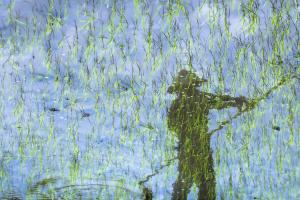 Impressionist photography of wind and reflection in young rice fields, with painterly tones and soft motion