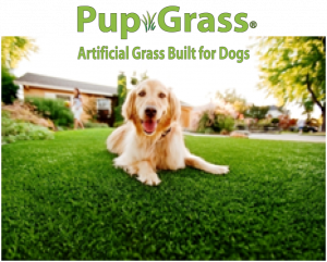 Pup-Grass Artificial Grass Built for Dogs
