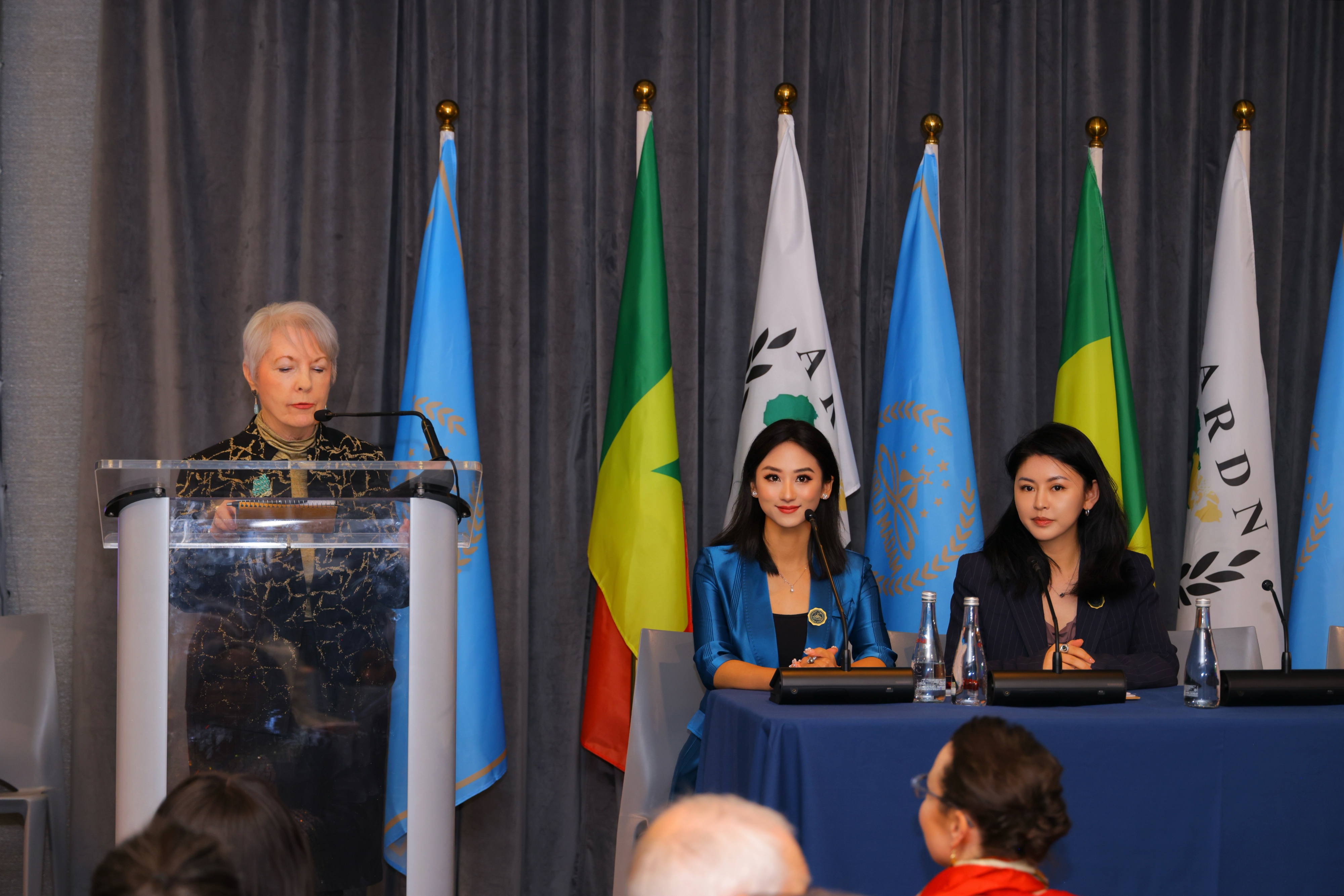 Helen Huang at United Nations CSW69 Side Event