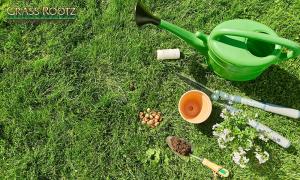 organic lawn maintenance