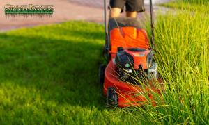 organic-lawn-care-service