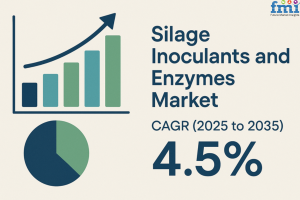 Silage Inoculants and Enzymes Market