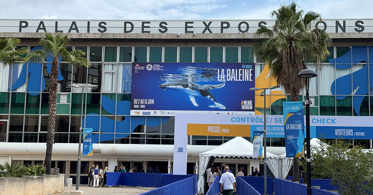 Entry lines into the Palais des Expositions, decorated with signs saying La Baleine.