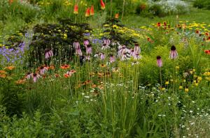 Native Plant Nursery