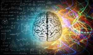 Image of a Brain with numbers and images