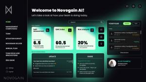 Example of Novogain AI assistant tool UI