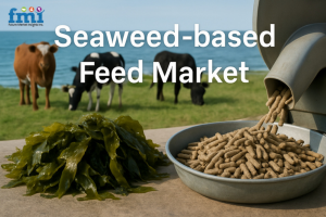Seaweed-based Feed Market