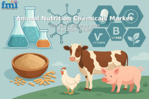 Animal Nutrition Chemicals Market