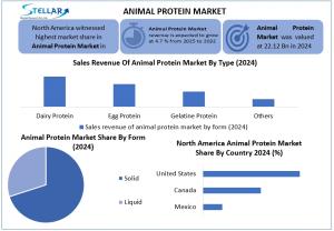 Animal Protein Market
