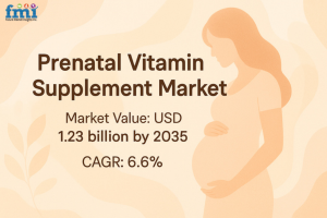 Prenatal Vitamin Supplement Market