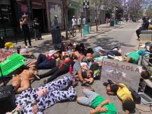 protesters lie on the ground to symbolize dead piles of animals