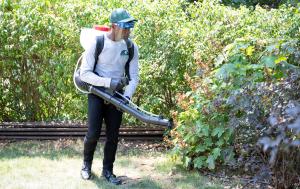 Last Bite technician in safety gear spraying bushes in a residential yard with a mosquito and tick control backpack sprayer
