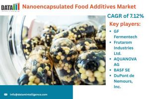 Nanoencapsulated Food Additives Market