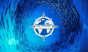 Blue Prosperity Coalition Logo School of Fish
