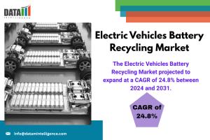 Electric Vehicles Battery Recycling Market