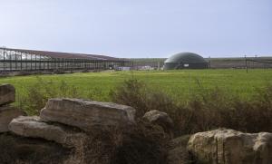 An example of an operating CycleØ biogas plant in Spain