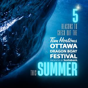 5 Reasons To Check Out The Festival
