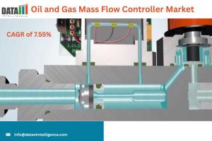 Oil and Gas Mass Flow Controller Market