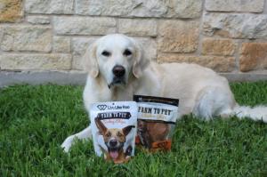Labrador dog sitting on the grass with bags of Farm to Pet Live Like Roo dog treats.