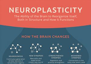 Neuroplasticity Market Growth