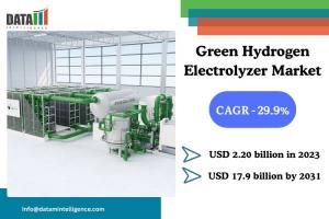 Green Hydrogen Electrolyzer Market