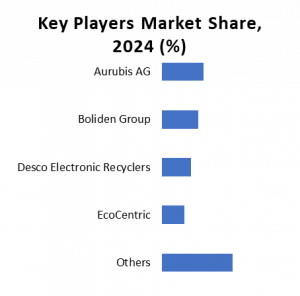 Key players of Electronic Waste Recycling Market