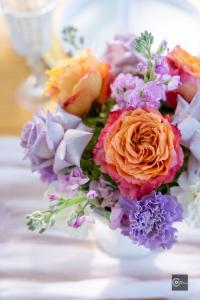 Whitney McWhorter, family-centered learning, immersive STEM experiences, Formula 1 inspired education, floral design enrichment, sound therapy for youth, equestrian learning, farm-to-table education, cultural enrichment for families, A Noble
