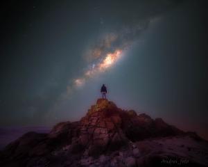 A Dance With the Stars - Fernwayer