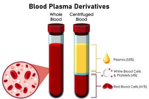 Blood Plasma Derivatives Market Analysis