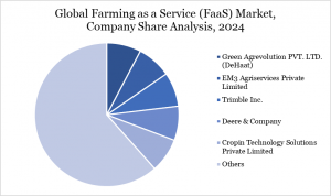 FaaS Market Company Share Analysis