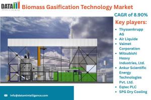Biomass Gasification Technology Market