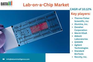 Lab-on-a-Chip Market
