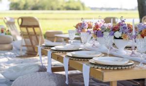 luxury nonprofit, beauty-centered healing, luxury educational experiences, family healing through design, immersive family experiences, Sanctuary of Conduit Energy, A Noble Foundation, luxury nonprofit experiences, Whitney McWhorter, Southern Charm Picnic