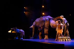 Circus 1903 performers share the stage with their majestic life-sized elephant puppet, bringing the golden age of the circus to life in a breathtaking finale