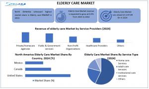Elderly Care Market