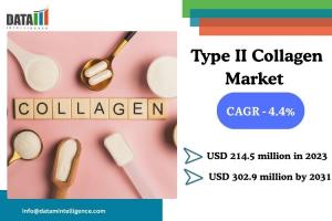 Type II Collagen Market