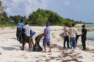 Beach cleanup