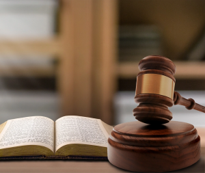  Legal Consultations Law Firm.png.