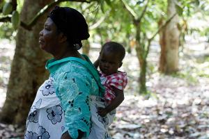 A female cocoa farmer in Ghana inspects her crop, carrying a child on her back