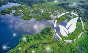 Greenhouse Gas Consulting Services