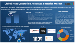 Next Generation Advanced Batteries Market Size