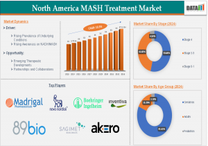 North America Metabolic Dysfunction Associated Steatohepatitis (MASH) Treatment Market