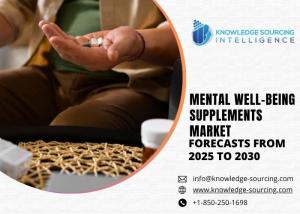 Mental Well-Being Supplements Market size