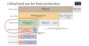 Global land use infographic showing proportions of agriculture, forests, livestock, and crop land.